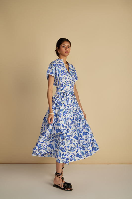 Zafiya Dress
